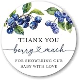 Blueberry Baby Shower Thank You Favor Stickers, 2 Inch Round, 40 Labels