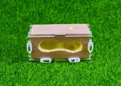 kamelar Joining Together 1, Acrylic Splicing, Gypsum Bionic nest nest, Color Gypsum Splicing Components, formicarium ; Formicary