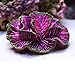 Danmu 1pc of Polyresin Coral Reef Ornaments, Aquarium Coral Decor for Fish Tank Aquarium Decoration 4.72″ x 3.54″ x 2.16″thumb 1