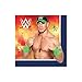 WWEParty Beverage Napkins, Party Favor
