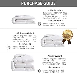 Royoliving Premium Greyduck Feathers Down Comforter