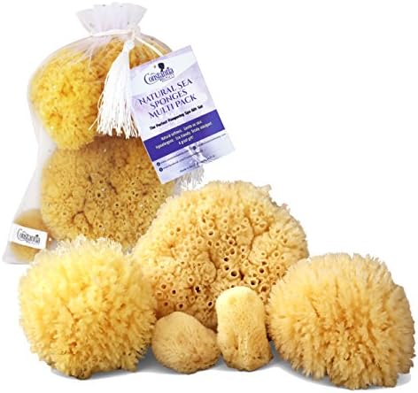 Constantia Beauty Natural Sea Sponges 5pc Multi Pack the Perfect Spa Gift Set to Pamper Mums, Brides, Girlfriends, Teens; Gentle, Hypoallergenic, Great for Bath, Shower & Facial Cleansing
