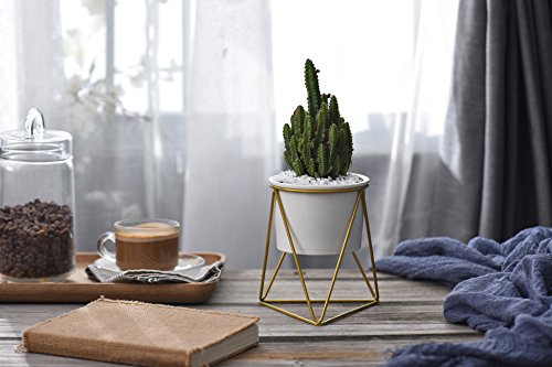 Planter Pots Indoor,Y&M(TM) 6 inch Modern Garden White Ceramic Round Bowl with Metal Air Plant Stand for Succulent Planter Cactus (White + Gold)
