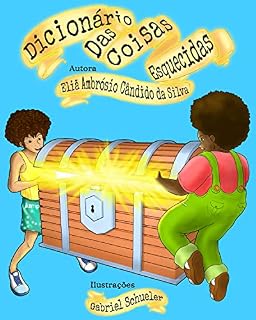 Livro Dicionário das Coisas Esquecidas