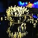 Lalapao Christmas Decoration Lights Battery Operated Mini String Lights 2 Pack M5 50 LED Xmas Fairy Outside Lighting Decor for Outdoor Indoor Tree Garden Patio Holiday Wedding Decorative (Warm White)