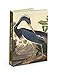 National Gallery of Art Audubon Water Birds Notecard Wallet with Envelopes, 4.5 x 6-Inches, Pack of 12 Cards (NGANW02)
