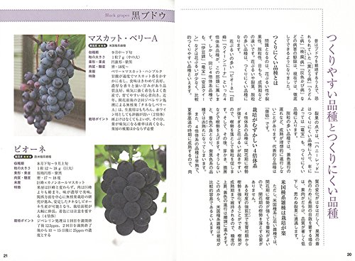 家庭でできる おいしいブドウづくり12か月 大森直樹 本 通販 Amazon