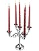 Viscacha Silver Candle Holder，5 Arms Metal Candle Holders for Taper Candles（10.6 inch Tall Candelabra, for 1/2-1 inch Pillar Candles Diameter Each）,Candlestick Holders Centerpiece Decoration