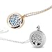 RoyAroma 30mm Car Aromatherapy Essential Oil Diffuser Stainless Steel Locket with Vent Clip 12 Felt Pads-Tree of Life Black