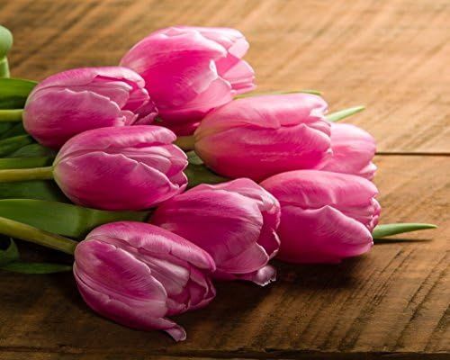 Bouquet of pink tulips on a wooden table. Fine Art Flower Photography Print for Home Decor Wall Art