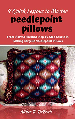 Amazon Com 4 Quick Lessons To Master Needlepoint Pillows From