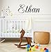 Decor Designs Decals Elegant Girls Personalized Custom Name Vinyl Wall Art Decal Sticker, Nursery Bedroom Baby Decor, Multiple Font and Color, (Multiple Size Choices) (Boys Name with Initial)