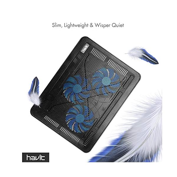 havit Cooling Pad 12"-17" Laptop Cooler with 3 Ultra Quiet Fans, Ergonomic Comfort Notebook Cooler with 2 USB Ports, HV-F2056