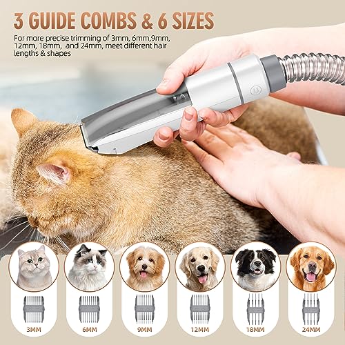 Best Vacuum Attachment For Dog Grooming [Updated On: March 2026]