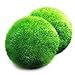Luffy Giant Marimo Moss Balls, Aquarium Decor or a Perfect Heirloom Gift, Symbolize Eternal Love, Good Luck Charm, Loved by Aquarium Pets, 2-Piece