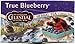 Celestial Seasonings True Blueberry Herbal Tea -- 20 Tea Bag