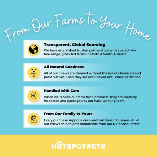 hotspot pets Cow Ears for Dogs (10 Pack) Large Premium Beef Cow Ears