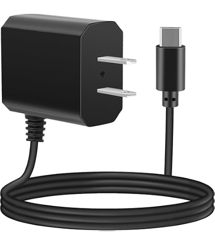 Amazon.com: 5V USBC Charger for Fanttik B10 Pro Max / C10 Pro /L1