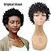 Short Wigs for Black Women Black Short Synthetic Full Wigs None Lace Front Wig Cosplay Perruque Women Afro Kinky Curly Wigs Cosplay (Natural Black)