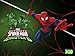 Marvel's Ultimate Spider-Man vs. The Sinister 6 Season 4