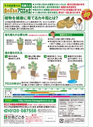 Amazon 花ごころ 金のなる木アロエの土 5l Diy 工具 ガーデン