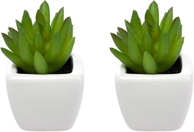 maceta decorativa envase