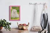 Alison Kingsgate Sleek A4 Picture Frame Engineered Wood Pink Shatterproof Front view 7