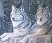 Royal Plush Raschel Wolves "Leader of the Pack" Throw Blanket