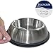 PetFusion Premium Brushed Anti-Tip Dog & Cat Bowls (Set of 2 Bowls). Food Grade Stainless Steel. Bonded Silicone Ring for Traction, 14 oz, Metallic