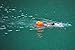 20L Waterproof Dry Bag, Ultralight Swim Buoy and Safety Float for Open Water Triathletes, Kayak, Snorkeling,Surfers, Beach, Swimming, Boating with Adjustable Waist Belt (Orange)