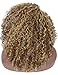 Kalyss Synthetic Brown Blonde Highlights Afro Kinky Curly Wigs for Women Side Parted Natural Looking Big Bouncy Hair Wigs