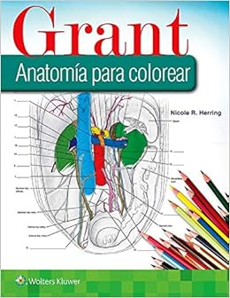 Amazon Com Grant Anatomia Para Colorear Spanish Edition 9788417602505 Herring Phd Nicole R Books