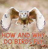 How and Why Do Birds Fly: Bird Books for Kids (Children's Bird Books (Ornithology)) by Baby Professor