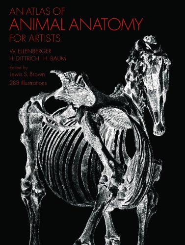Download An Atlas of Animal Anatomy for Artists (Dover Anatomy for Artists)