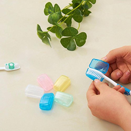 Anshinto 5 Piece Set Portable Travel Toothbrush Cover Wash Brush Cap Case Box Mini