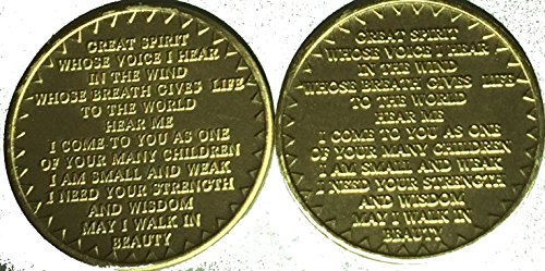 Healing Spirit Of Recovery Native American Bulk Lot of 25 Medallions Chips Bronze Great Spirit Prayer