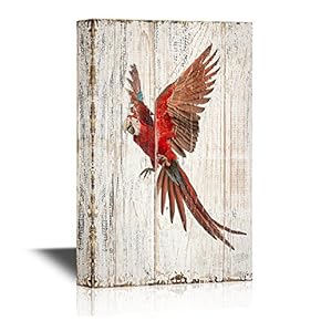 Birds and Poultry Canvas Wall Art - A Flying Red Parrot - Vintage Wood Style Giclee Print Gallery Wrap Modern Home Art | Ready to Hang - 12x18 inches