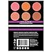 SHANY Cosmetics Fuchsia 6 Color Blush Palette, 8 Ounce