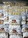 FAST LIFE Cotton Buds for Dogs