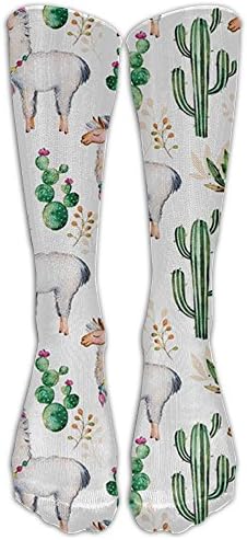 Hot South Desert Plant Cactus Pattern With Camel Animal Tube Socks For Women &amp; Men - Graduated Athletic Fit For Running, Nurses, Flight Travel, Skiing &amp; Maternity Pregnancy - Boost Stamina &amp; Recovery