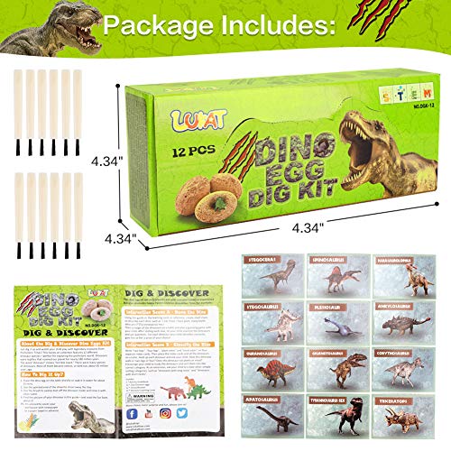 LUKAT Dinosaur Eggs Dino Dig Kits 12 Unique Dinosaurs Excavation Toy Kids Gifts for Boys and Girls Learning Fun
