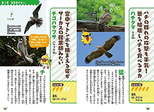 やばすご 鳥伝説 鳥たちのビックリ生活 鳥くん 永井 真人 松村 万知子 本 通販 Amazon