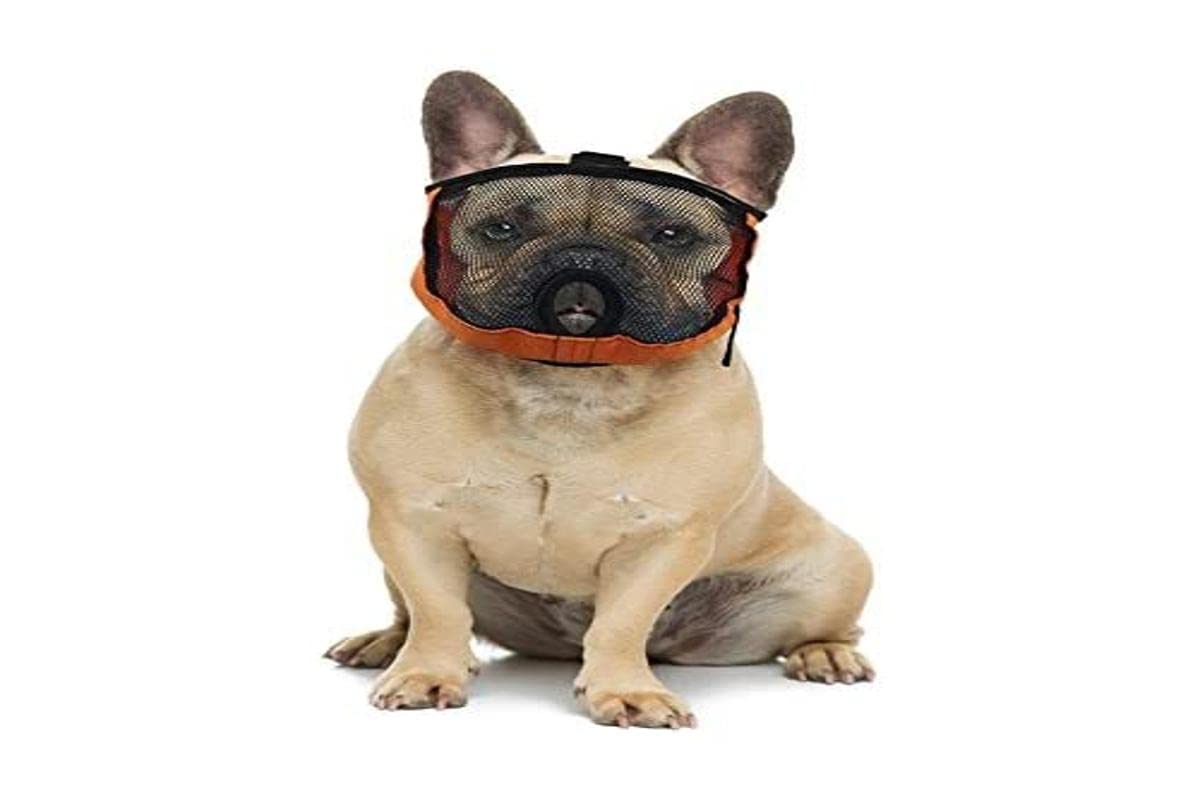 GrandFinale Soft Muzzle for flat-faced dogs: French Bulldog, Pug, Boxer, Pitbull, Shih Tzu, Pekingese (M)