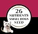 Cesar Small Breed Dry Dog Food Porterhouse Flavor and Spring Vegetables Garnish, 5 lb. Bag