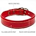 Logical Leather Padded Dog Collar - Best Full Grain Heavy Duty Genuine Leather Collar - Red - Large