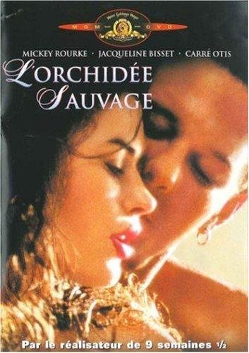 L'orchidée Sauvage