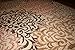 Feraghan/New City Brand New Contemporary Modern Floral Flowers Area Rug, 2' x 3', Brown/Beige