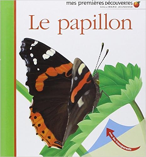 papillons-heliadore