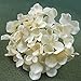 Veryhome Blooming Silk Hydrangea Flower Heads for DIY Bouquets Wedding Centerpieces Home Decor (Cream White) 12pcs