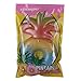 6.1inch Jumbo Squishies Slow Rising Fruit Squishy Toys Soft Pineapple Scented Stress Reliever Toys Rainbow Decorative Birthday Gifts for Kids Adults